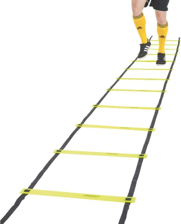 Kübler Sport Koordinationsleiter