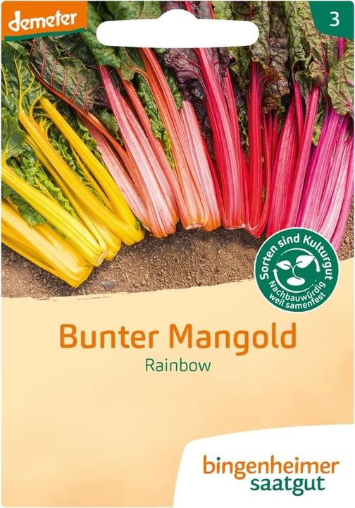 Produktbild Bingenheimer Saatgut Mangold Rainbow (Keimlinge)