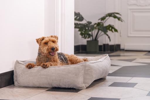 Produktbild Designed by Lotte Liegebett Ribbed (Hund)
