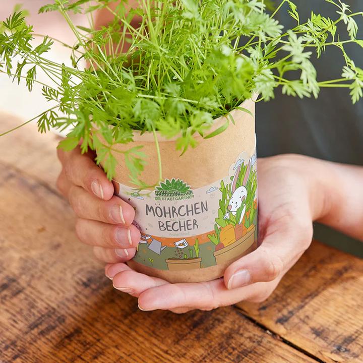 Produktbild Natura Punto Becher-Set zum Pflanzen von Karotten
