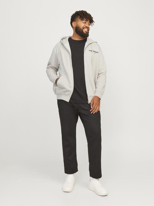 Produktbild Jack & Jones Jorvesterbro Sweat Zip Hood Noos Pls (XXL)