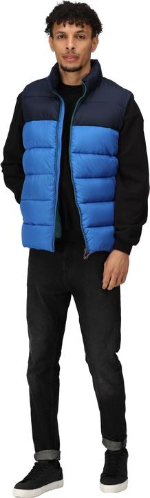 Actual product image Regatta Mens Vintage Colour Block Gilet (3XL)