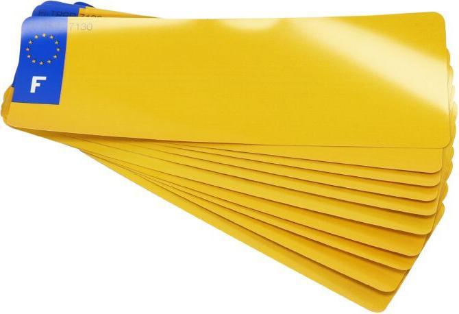 Actual product image Top Plaq Pack of 10 personalized license plate strips with euro