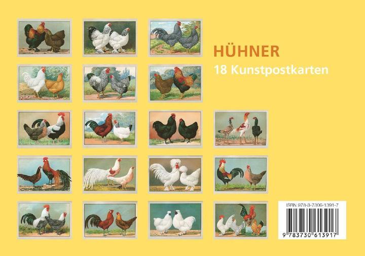 Immagine prodotto Set di cartoline galline (20 pz.)