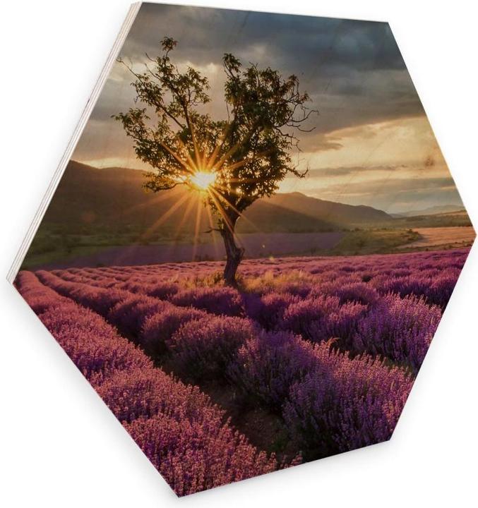 Actual product image Trenddeko Lavender blossom in Provence (55 x 47 cm)