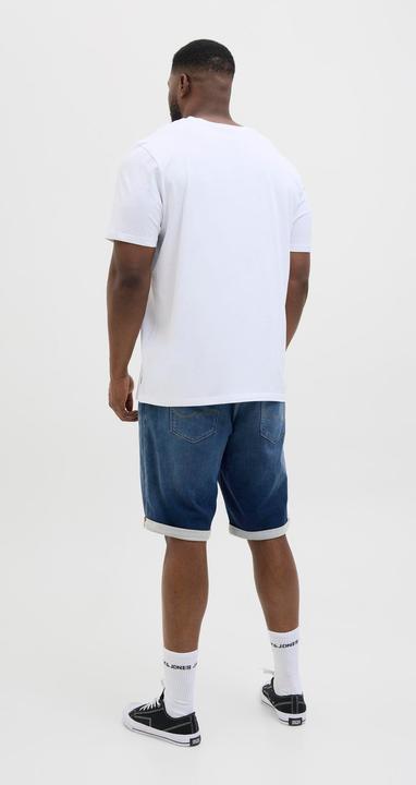 Produktbild Jack & Jones JJIRICK JJICON I.K. SHORTS GE 132 SN PLS (W40)