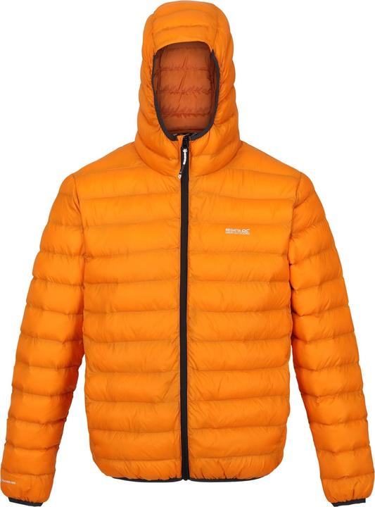 Image du produit Regatta Mens Marizion Baffled Hooded Padded Jacket (veste matelassée à capuche) (S)