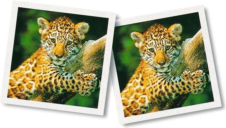 Produktbild Ravensburger Tierbaby memory (Deutsch)
