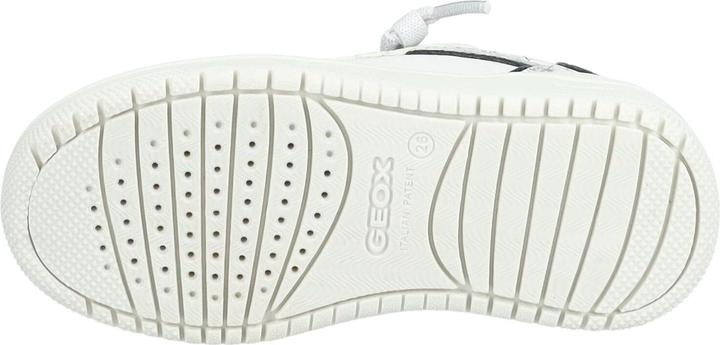 Image du produit Geox Sneaker (33)