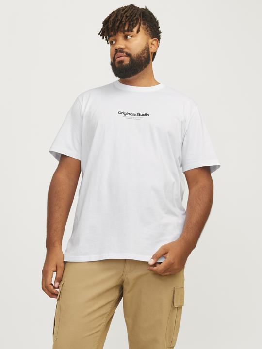 Produktbild Jack & Jones Jorvesterbro Tee Ss Crew Neck Noos Pls (XXL)