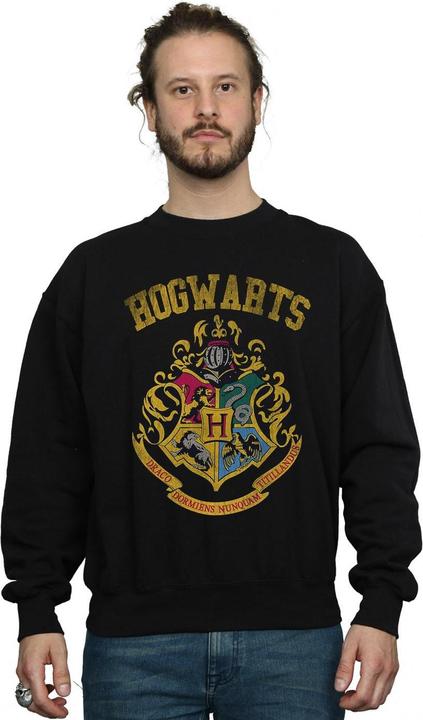 Actual product image Mens Hogwarts Varsity Sweatshirt (XXL)