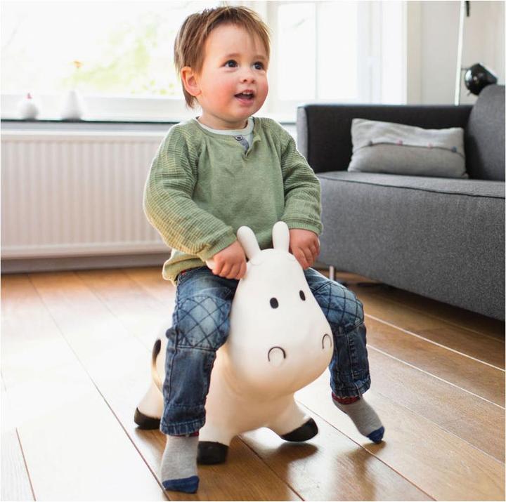 Image du produit BS Vache qui saute
