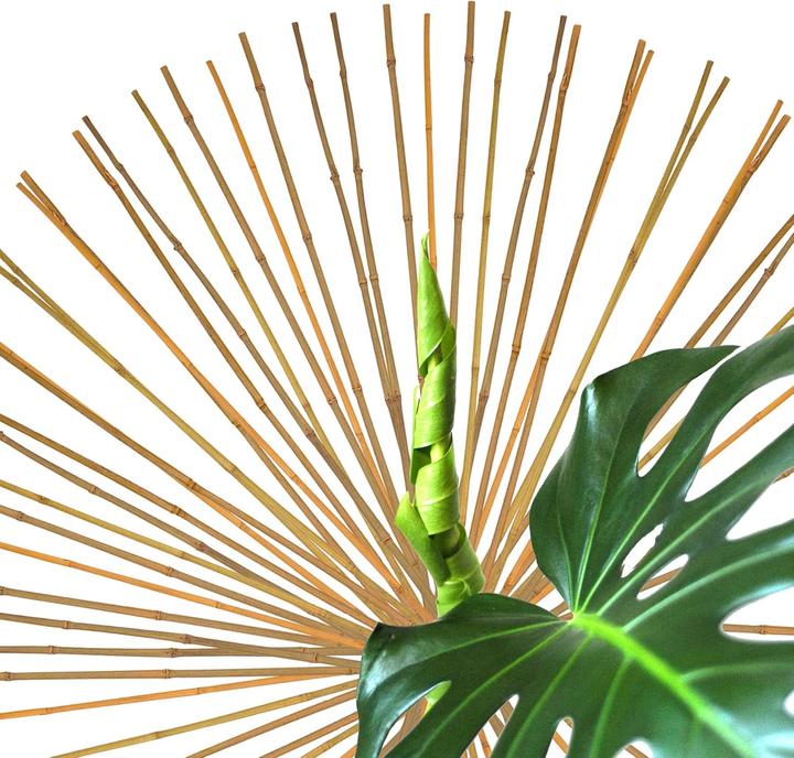 Produktbild BigDean Bambus-Pflanzenstab Rankhilfe (50 Stück) (105 cm, 1 cm)