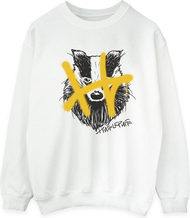 Actual product image Mens Hufflepuff Pop Spray Sweatshirt (XL)