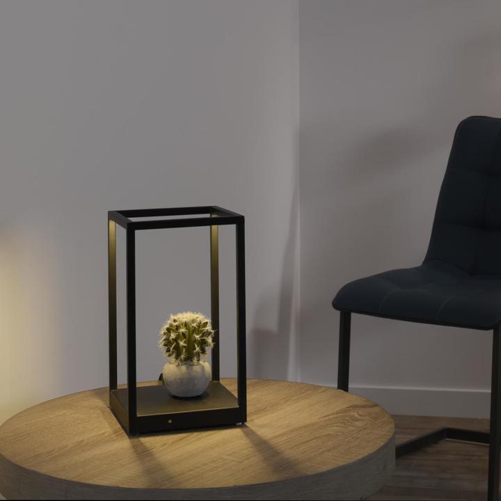 Actual product image Paul Neuhaus Contura (140 lm)