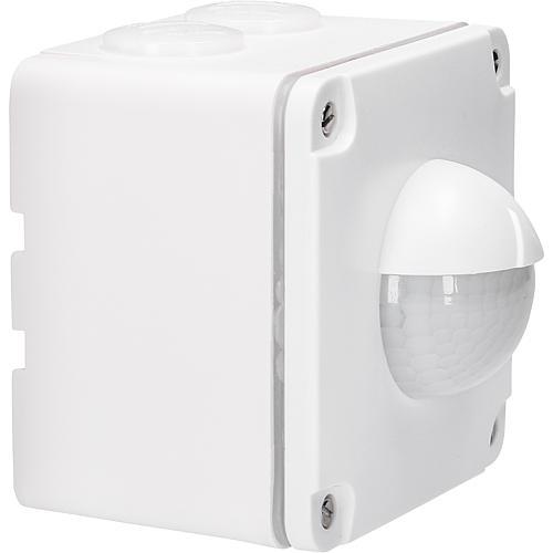 Züblin AP Détecteur de mouvement Swiss Garde 300 AP IP55 (10 m)