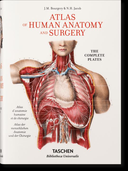 Actual product image Bourgery. Atlas of Human Anatomy and Surgery (German, Jean-Marie Le Minor, 2015)