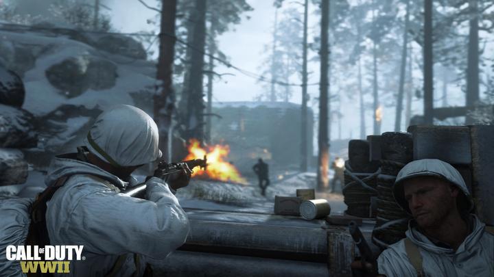 Image du produit Activision Call of Duty: WWII (PS4, EN)