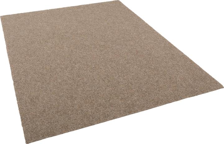 Immagine prodotto Snapstyle Kunstrasen Rasenteppich mit Noppen Kingston (50 x 400 cm)