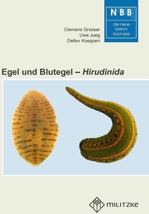 Image du produit Grosser:Egel und Blutegel (Allemand, Detlev Dr. Koeppen, Clemens Grosser, Uwe Jueg, 2024)