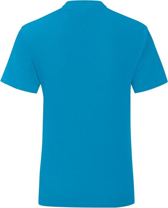 Image du produit Fruit of the Loom UTBC4751 P (164)