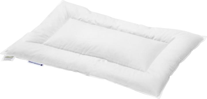 Actual product image nordic coast company Flat pillow made of fine down (90%) class 1 (60 x 40 cm)