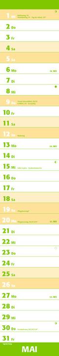 Actual product image TENEUES Diary Mega Notes (15 x 90 cm, German)