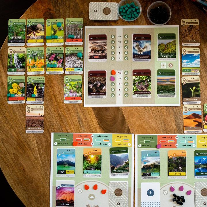 Image du produit Skellig Games Terre (Allemand)