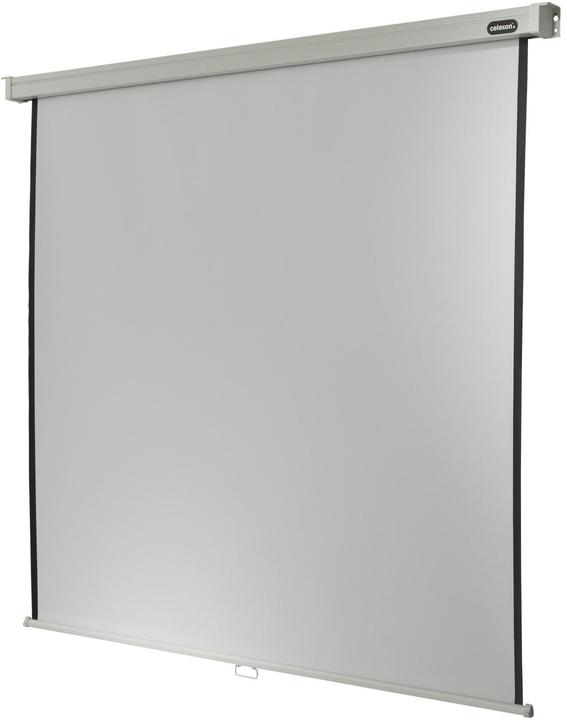 Image du produit Celexon Rollo Professional, Toile, 1:1 (131.10", 1:1)