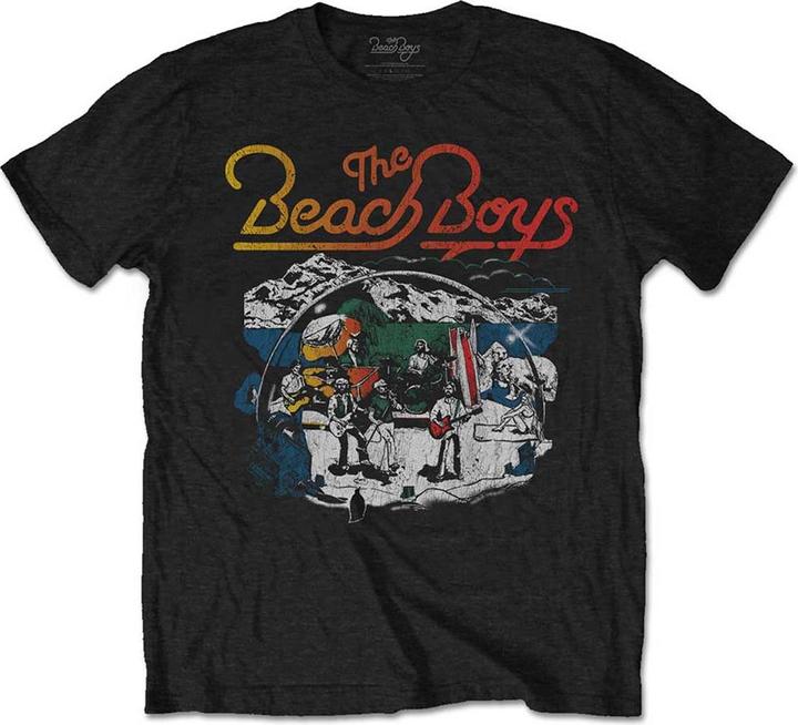 The  Beach Boys Live Drawing