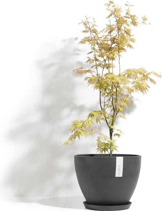Produktbild Ecopots Antwerp (30 cm)