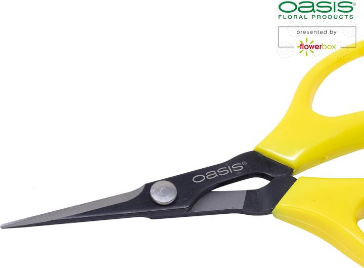 Produktbild Oasis Bonsai & Pinzierschere