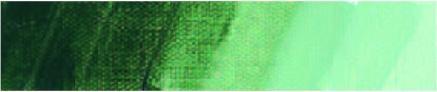 Immagine prodotto Schmincke Mussini veronese terra verde pittura ad olio (Terra verde veronese, 35 ml)