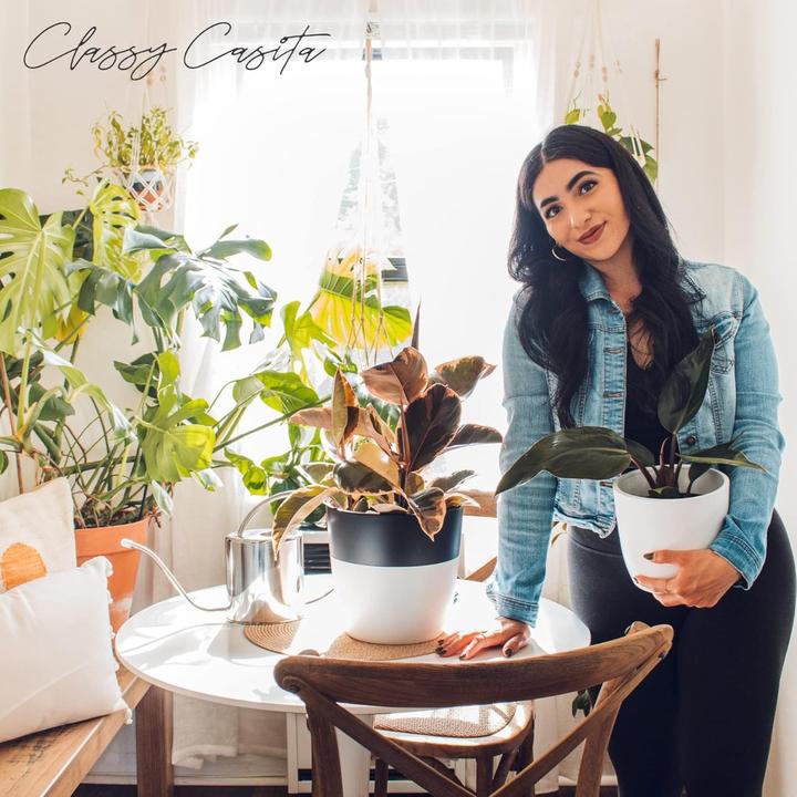 Produktbild Classy Casita Feuchtigkeitsmessgerät