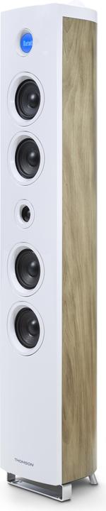 Produktbild Thomson DS301 (1 Stk., 180 W)