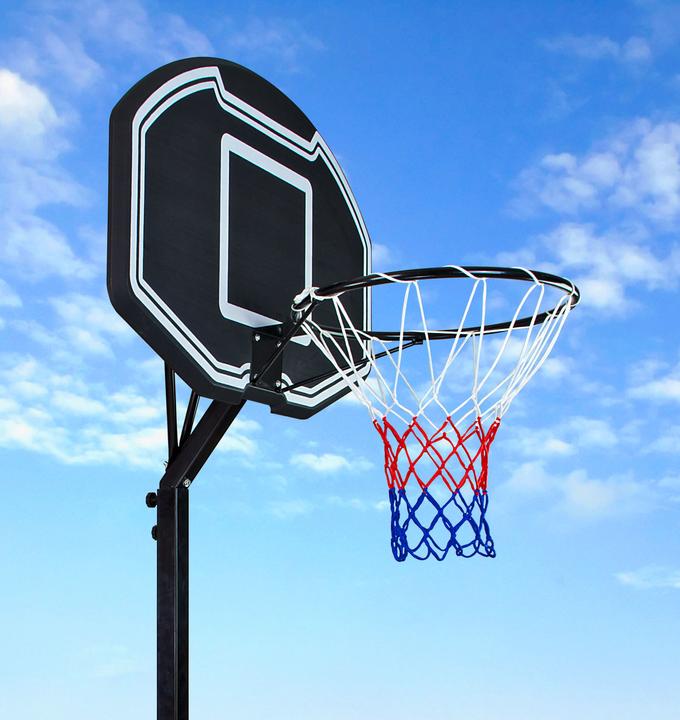 Actual product image Dema Basketball hoop with basketball stand