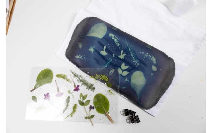 Actual product image Creative - Craft Kit Cyanotype, Textile, Blue, 1 Pack - ()