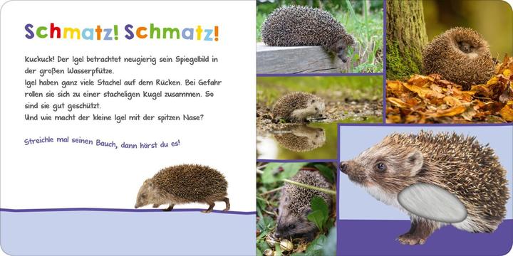 Produktbild Hör mal rein, wer kann das sein? - Im Garten (Deutsch, 2019)