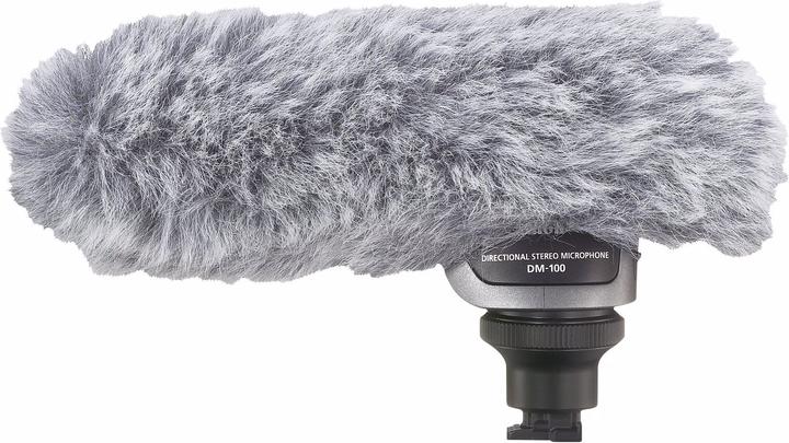 Image du produit Canon Dm-100