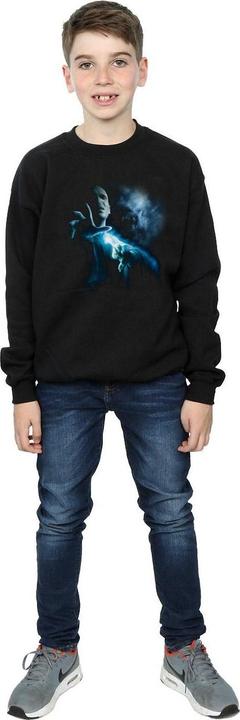 Image du produit - Sweat VOLDEMORT SHADOW - Garçon (116)