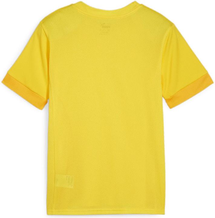 Image du produit Puma teamGOAL Matchday Jersey jr (128)