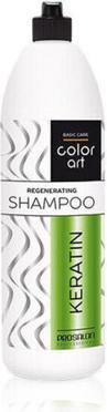 Chantal Prosalon Color Art Keratin Shampoo 1000ml (1000 ml)