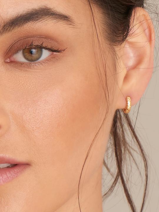 Image du produit Ania Haie Créoles Smooth Twist E038-02G (Argent 925)