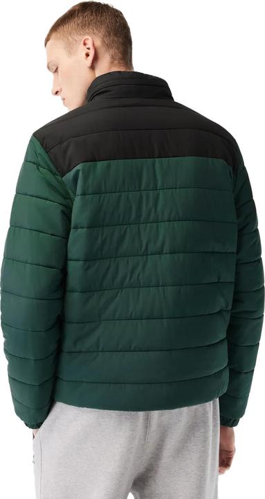 Actual product image Lacoste Mens Hooded Padded Jacket (M)