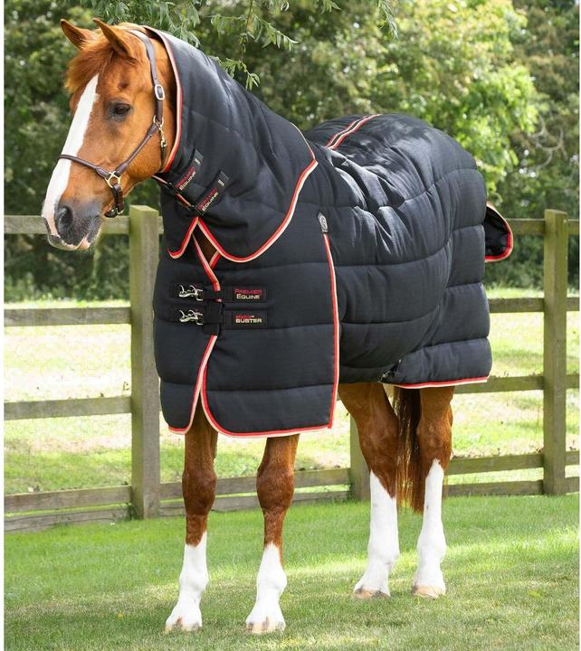 Produktbild Premier Equine Stable Buster 200g (152 cm)