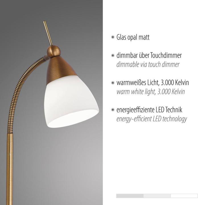 Produktbild Paul Neuhaus altmessing LEDTischleuchte 3000K 3W (265 lm, G9)