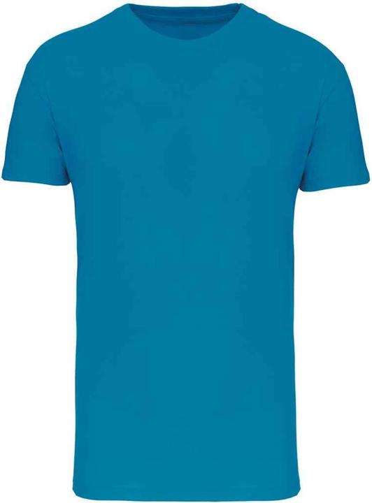 Bleu sarcelle