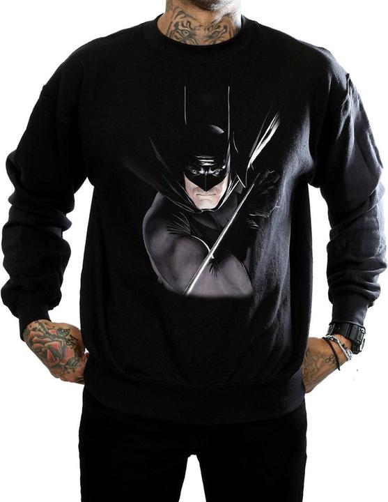 Actual product image Mens Batman By Alex Ross Cotton Sweatshirt (XL)