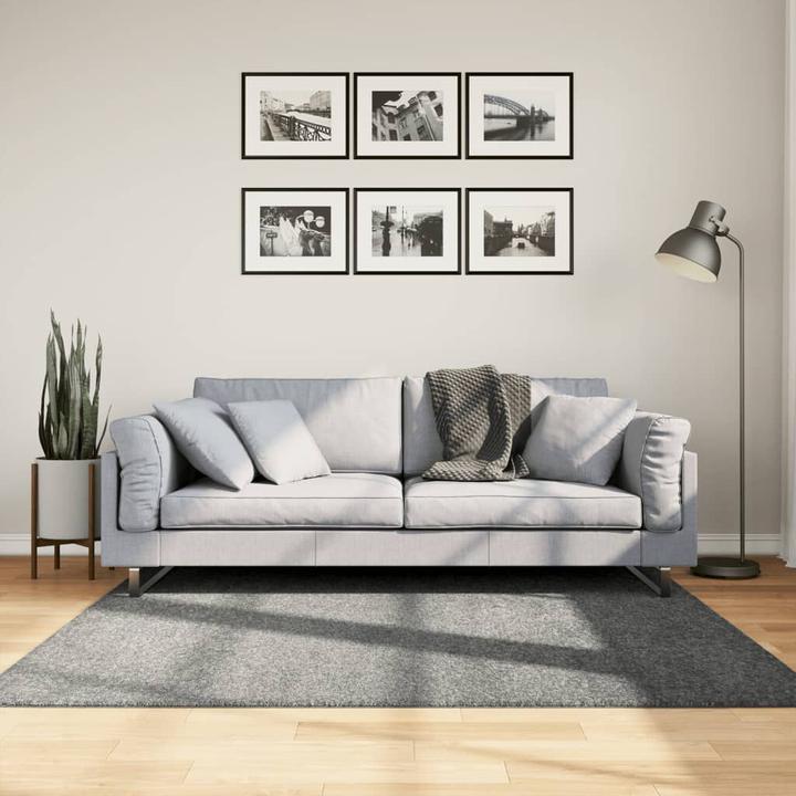 Image du produit VidaXL Tapis Shaggy haut velours Moderne (160 x 160 cm)