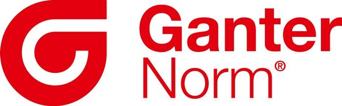 Produktbild Ganter Scharnier GN 237 Höhe 60 mm Breite 60 mm Stärke 2 mm Zink-Druckguss mit Bohrungen für Senkschrauben